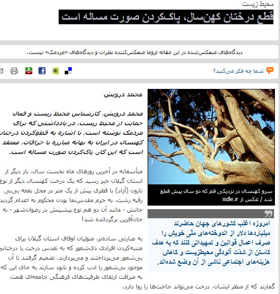 درختان کهنسال، وقار فرهنگ ایرانزمین هستند نه تهدیدکنندهی آن!