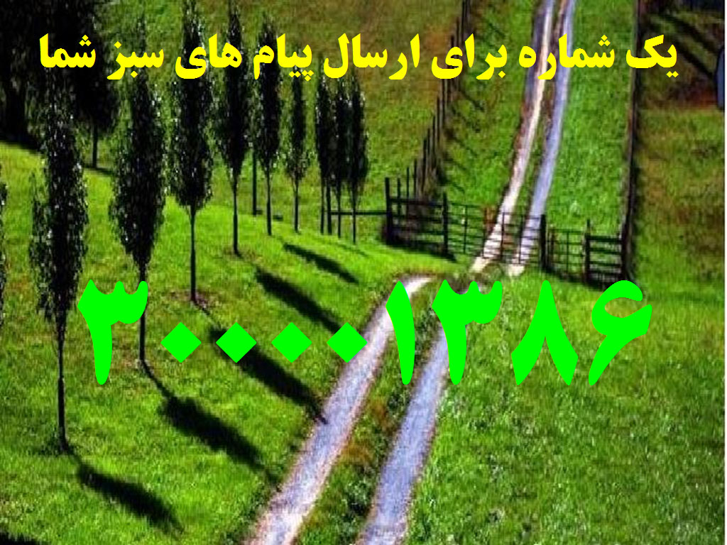 شماره پیامکی که نباید از یاد ببریم!