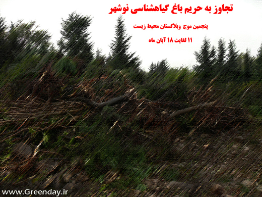ماجرای تجاوز در نوشهر به گفتگوی داغ سبز رسید!