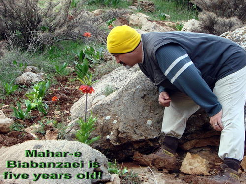 گزارش دویچه وله صدای آلمان به مناسبت پنجمین سالگرد تولد مهار بیابانزایی