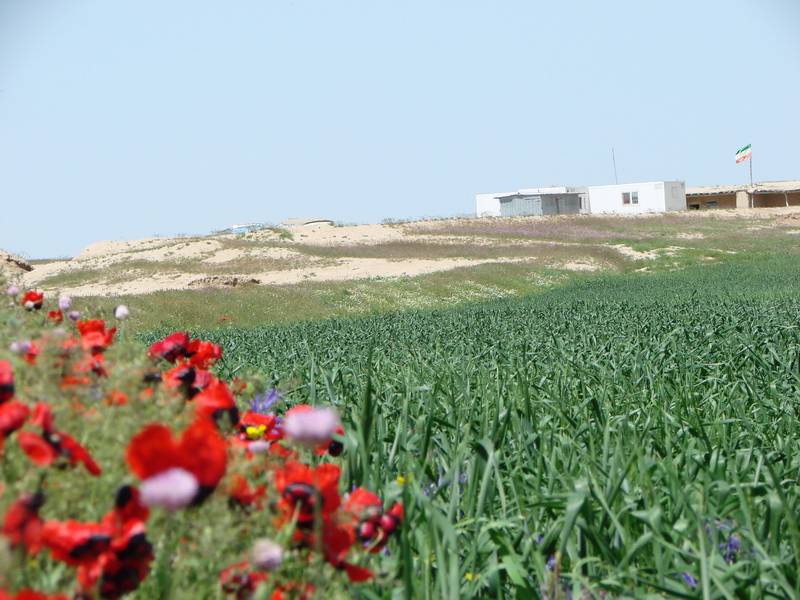 چشم اندازی زیبا از دبستان خرد