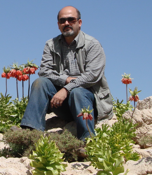 سرزمین لاله های واژگون در تنگ زندان