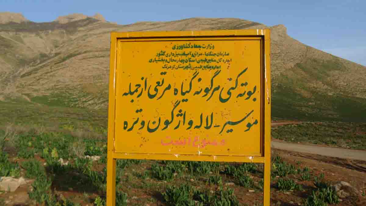 تابلویی که کسی به محتوای آن توجه ندارد! دارد؟