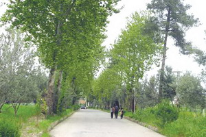باغ کشاورزی گرگان؛ آیا این آخرین تصویر است؟