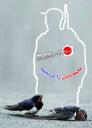 روز محیطبان و خدایی که در این نزدیکی است!