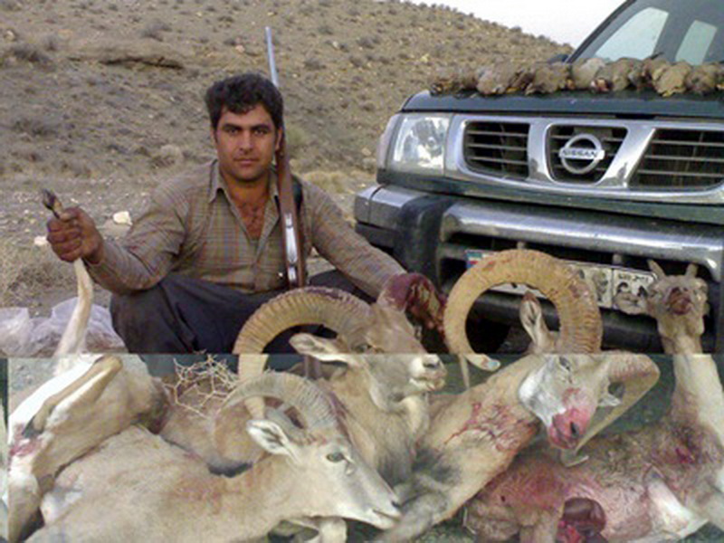 تصاویری هوشربا از روستای هدف گردشگری در خبر!