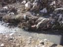 وفور زباله در نهر اصلی روستای بوزندان!
