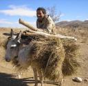 مشاهده خندههای علی نظری از اهالی قلعه شهدا، خستگی را از تنمان به در کرد …