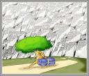 مانده تا برف زمین آب شود …